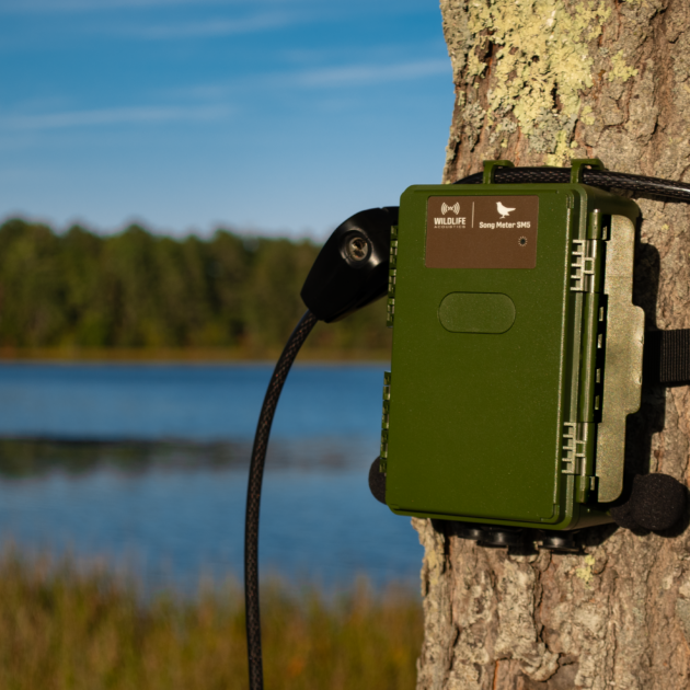 GRABADORA ACUSTICA Song Meter SM5 ¡NUEVO¡